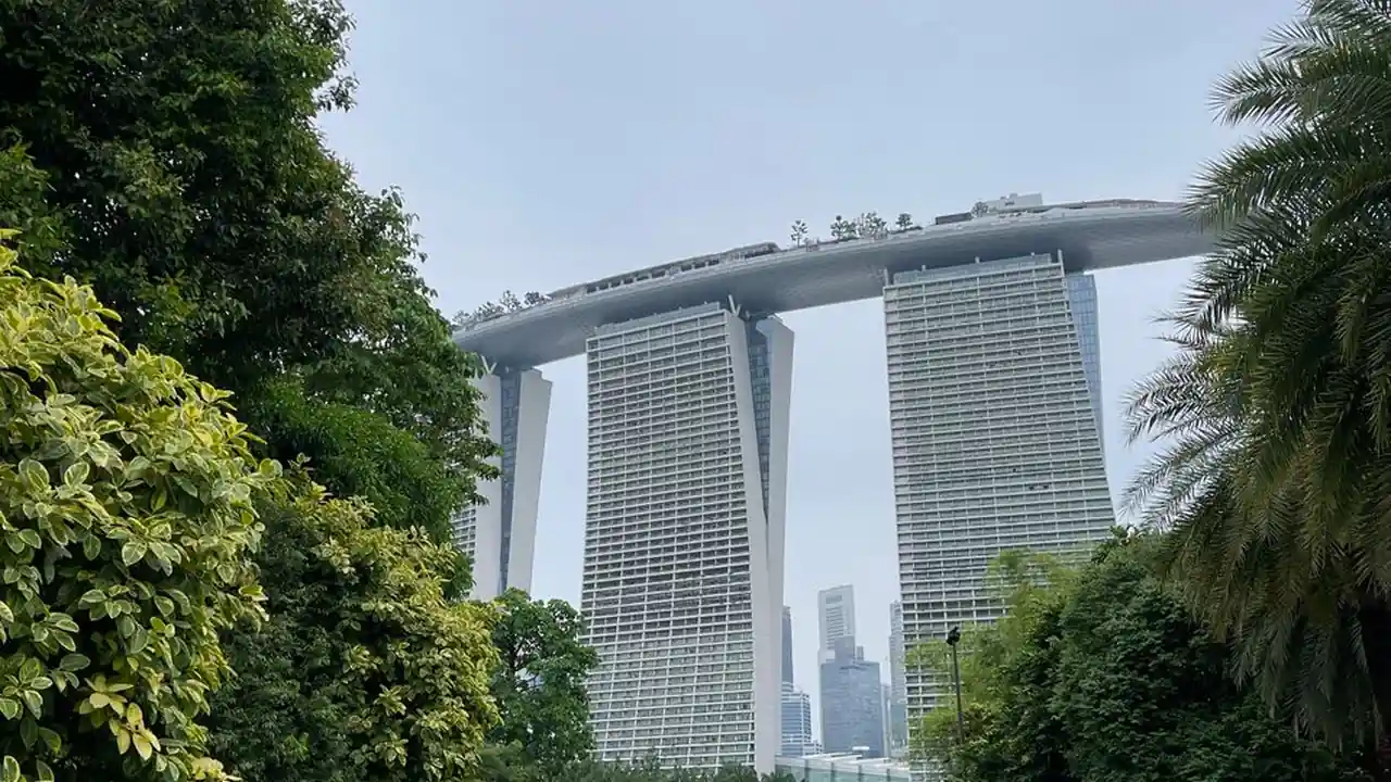 陈莉均头像